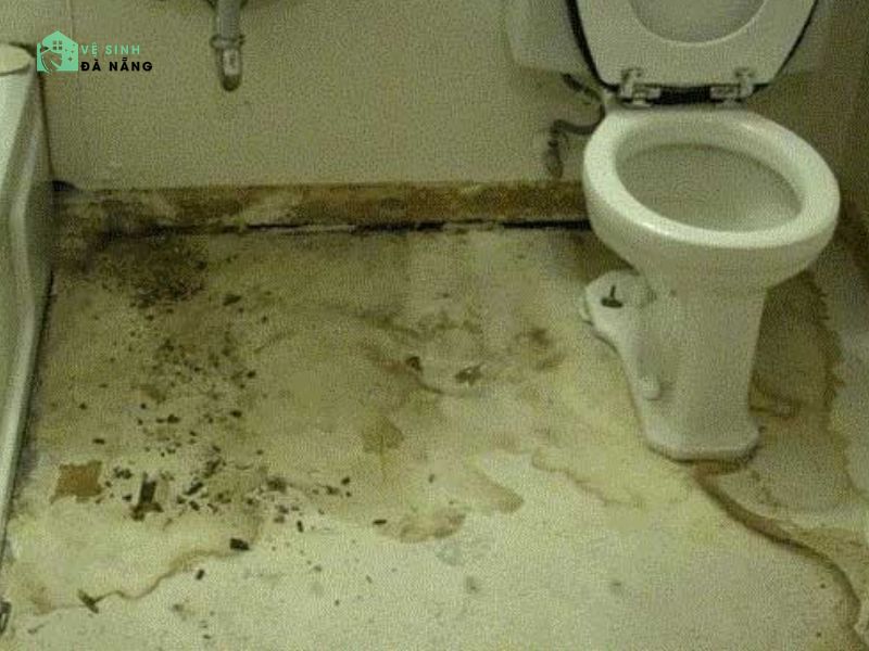 Tác hại của việc để bồn cầu nghẹt kéo dài