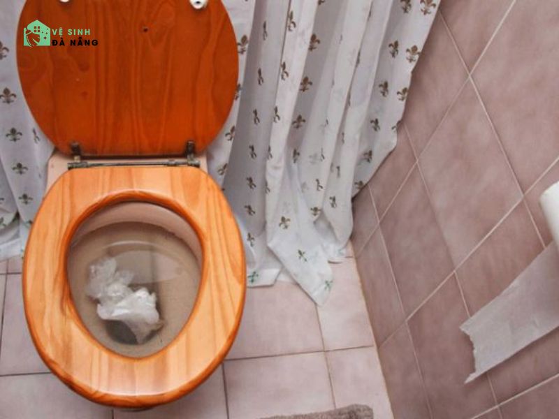 Vứt giấy vệ sinh quá nhiều hoặc dùng loại không tiêu